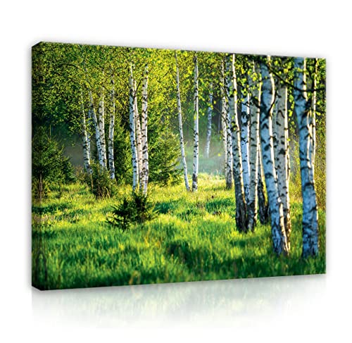 Bilder Wald Grün Natur Groß Birken 120x80 cm Modern Canvas Leinwandbild XXL Schlafzimmer Wohnzimmer Wandbild Kunstdruck Wandbilder Wand Bild auf Leinwand Aufhängefertig von WallArena