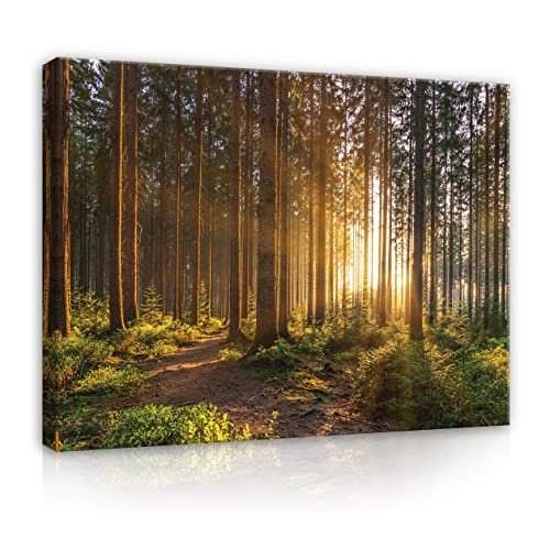 Bilder Wald Sonne Groß Natur 100x75 cm Modern Canvas Leinwandbild XXL Schlafzimmer Wohnzimmer Wandbild Kunstdruck Wandbilder Wand Bild auf Leinwand Aufhängefertig von WallArena