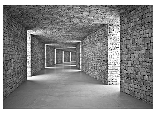 Fototapete 3D EFFEKT Tunnel Grau Moderne Korridor Ziegel Schlafzimmer Wohnzimmer Wandtapete Vlies Tapete Latexdruck UV-Beständig Montagefertig (14036, V4 (254x184 cm) 2 Bahnen) von WallArena