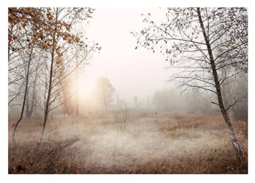 Fototapete Bäume 3D Effekt Nebel Wald Landschaft Natur Wiese Gras - inkl. Kleister - für Wohnzimmer Schlafzimmer Flur Vlies Tapete Vliestapete Wandtapete Motivtapeten Montagefertig (254x184 cm) von WallArena