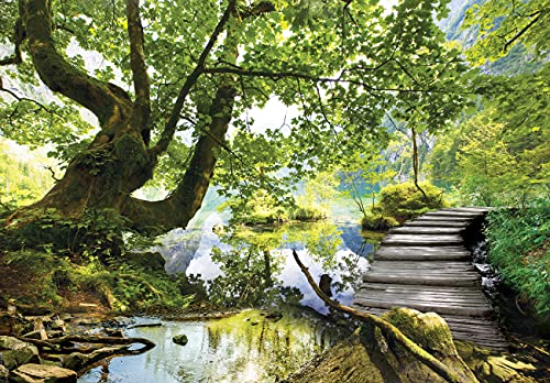 Fototapete Baum Wald Landschaft See Wohnzimmer Schlafzimmer Wandtapete Vlies Tapete Latexdruck UV-Beständig Geruchsfrei Hohe Auflösung Montagefertig (11235, V8 (368x254 cm) 4 Bahnen) von WallArena