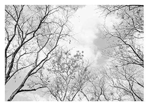 Fototapete Baumkronen Wald 3D schwarz weiß Baum des Lebens Wohnzimmer Schlafzimmer Wandtapete Vlies Tapete UV-Beständig Montagefertig (152x104 cm - 1 Bahn) von WallArena