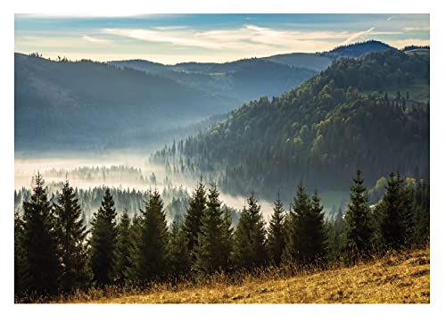 Fototapete Berge Panorama Wald im Nebel Bäume Landschaft - inkl. Kleister - für Wohnzimmer Schlafzimmer Flur Vlies Tapete Vliestapete Wandtapete Motivtapeten Montagefertig (416x254 cm) von WallArena