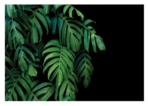 Fototapete Blätter Monstera Grün Schwarz Pflanzen Tropische Betonoptik - inkl. Kleister - für Wohnzimmer Schlafzimmer Flur Vlies Tapete Vliestapete Wandtapete Motivtapeten Montagefertig (368x254 cm) von WallArena