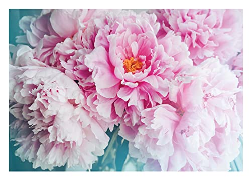 Fototapete Blumen Rosa Pfingstrosen Große Rosen - inkl. Kleister - für Wohnzimmer Schlafzimmer Flur Vlies Tapete Vliestapete Wandtapete Motivtapeten Montagefertig (208x146 cm) von WallArena