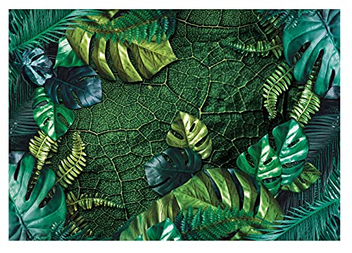 Fototapete Dschungel Pflanzen Blätter Monstera grün Natur Tropische Wohnzimmer Schlafzimmer Wandtapete Vlies Tapete UV-Beständig Montagefertig (14100, V8 (368x254 cm) 4 Bahnen) von WallArena