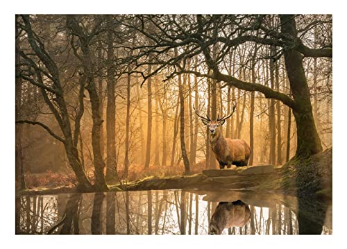 Fototapete Hirsch 3D Effekt Wald Natur Bäume Landschaft - inkl. Kleister - für Wohnzimmer Schlafzimmer Flur Vlies Tapete Vliestapete Wandtapete Motivtapeten Montagefertig (152x104 cm) von WallArena