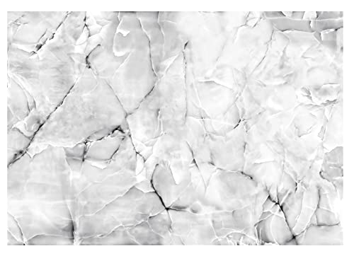 Fototapete Marmor Grau Steinoptik Wohnzimmer Schlafzimmer Vlies Tapete Latexdruck UV-Beständig Geruchsfrei Hohe Auflösung Montagefertig (13719, V4 (254x184 cm) 2 Bahnen) von WallArena