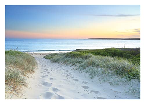 Fototapete Strand Meer 3D Effekt Dünen Nordsee Natur - inkl. Kleister - für Wohnzimmer Schlafzimmer Flur Vlies Tapete Vliestapete Wandtapete Motivtapeten Montagefertig (152x104 cm) von WallArena