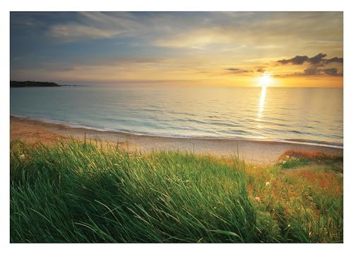 Fototapete Strand Meer Ostsee Natur Landschaft 152x104 cm - inkl. Kleister - für Wohnzimmer Schlafzimmer Flur Vlies Tapete Wandtapete Vliestapete Motivtapeten Montagefertig von WallArena