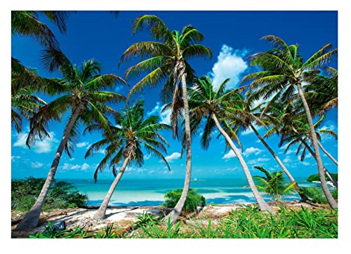 Fototapete Strand und Meer 3D Palmen Karibik Ozean Hawaii Tropical Modern Wohnzimmer Schlafzimmer Wandtapete Vlies Tapete UV-Beständig Montagefertig (208x146 cm - 2 Bahnen) von WallArena