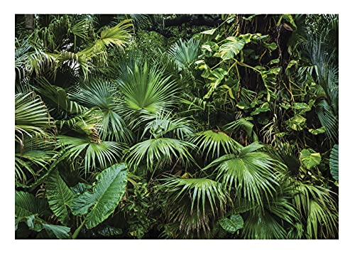 WallArena - Vlies Fototapete Wald Tropical Dschungel Grün Natur Pflanzen Blätter 416x254 cm - Fototapeten - Tapeten für Wohnzimmer Schlafzimmer Vliestapete Wandtapete Tapete 3D Effekt- inkl. Kleister von WallArena