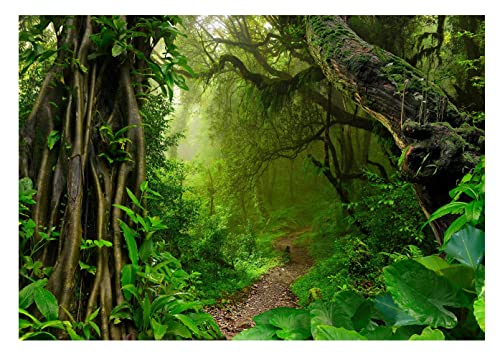 Fototapete Wald 3D Effekt Waldweg Bäume Dschungel Pflanzen Regenwald - inkl. Kleister - für Wohnzimmer Schlafzimmer Flur Vlies Tapete Vliestapete Wandtapete Motivtapeten Montagefertig (208x146 cm) von WallArena