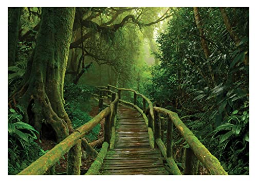 Fototapete Wald 3D Effekt Waldweg Brücke Bäume Dschungel Pflanzen - inkl. Kleister - für Wohnzimmer Schlafzimmer Flur Vlies Tapete Vliestapete Wandtapete Motivtapeten Montagefertig (152x104 cm) von WallArena