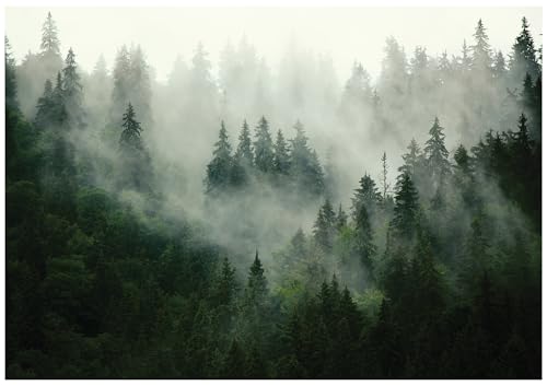 Fototapete Wald Nebel Bäume Landschaft 300x210 cm Fototapeten für Wohnzimmer Schlafzimmer Büro Flur Motivtapeten Wandtapete Vlies Tapete UV-Beständig Inklusive Kleister Montagefertig von WallArena