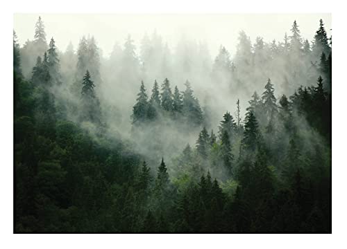 Fototapete Wald Nebel Landschaft Bäume Wohnzimmer Schlafzimmer Wandtapete Vlies Tapete Latexdruck UV-Beständig Geruchsfrei Hohe Auflösung Montagefertig (13026, VEM (104x70,5 cm) 1 Bahn) von WallArena
