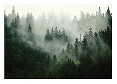 Fototapete Wald Nebel Landschaft Bäume Wohnzimmer Schlafzimmer Wandtapete Vlies Tapete Latexdruck UV-Beständig Geruchsfrei Hohe Auflösung Montagefertig (13026, VEXL (208x146 cm) 2 Bahnen) von WallArena