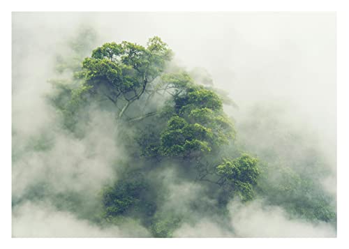 Fototapete Wald Nebel Regenwald Tropischer Dschungel Bäume - inkl. Kleister - für Wohnzimmer Schlafzimmer Flur Modern Vlies Tapete Vliestapete Wandtapete Motivtapeten Montagefertig (416x254 cm) von WallArena