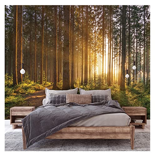 Fototapete Wald Sonne Bäume Natur Sonnenaufgang 200x140 cm Fototapeten Wohnzimmer Schlafzimmer Motivtapeten Vlies Tapete UV-Beständig Inklusive Kleister Montagefertig von WallArena