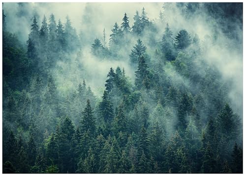 Fototapete Wald im Nebel Bäume Natur Grün 400x280 cm - inkl. Kleister - für Wohnzimmer Schlafzimmer Flur Modern Vlies Tapete Vliestapete Wandtapete Motivtapeten UV-Beständig Fototapete Wald im Nebel Bäume Natur Grün 400x280 cm - inkl. Kleister - für Wohnzimmer Schlafzimmer Flur Modern Vlies Tapete Vliestapete Wandtapete Motivtapeten UV-Beständig von WallArena