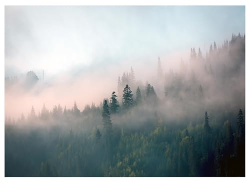 WallArena - Vlies Fototapete Wald im Nebel Baume Regenwald Natur 200x140 cm - Fototapeten - Tapeten - für Wohnzimmer Schlafzimmer - Vliestapete Wandtapete Tapete 3D Effekt- inkl. Kleister WallArena - Vlies Fototapete Wald im Nebel Baume Regenwald Natur 200x140 cm - Fototapeten - Tapeten - für Wohnzimmer Schlafzimmer - Vliestapete Wandtapete Tapete 3D Effekt- inkl. Kleister von WallArena