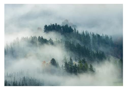Fototapete Wald im Nebel Berge Bäume Landschaft Natur - inkl. Kleister - für Wohnzimmer Schlafzimmer Flur Vlies Tapete Vliestapete Wandtapete Motivtapeten Montagefertig (416x254 cm) von WallArena