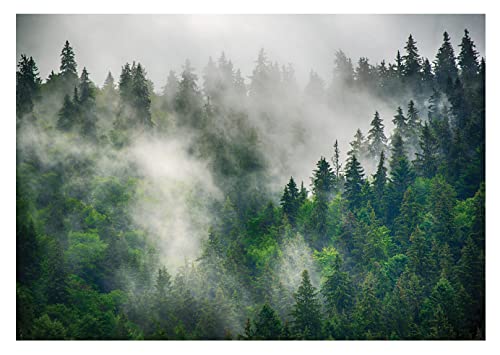 Fototapete Wald im Nebel Landschaft Panorama Bäume Natur - inkl. Kleister - für Wohnzimmer Schlafzimmer Flur Vlies Tapete Vliestapete Wandtapete Motivtapeten Montagefertig (368x254 cm) von WallArena