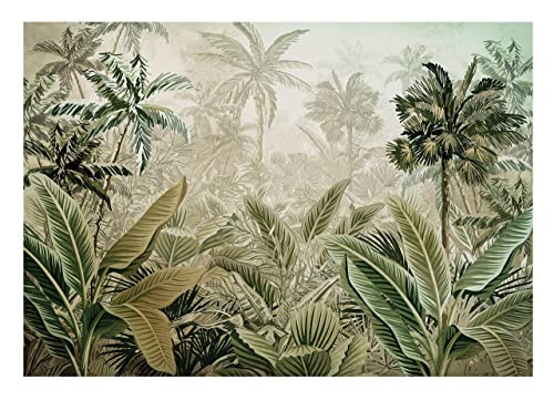 Fototapete Wald Amazonia Dschungel Tropische Natur Pflanzen Wohnzimmer Schlafzimmer Moderne Wandtapete Vlies Tapete UV-Beständig Montagefertig (13921, V8 (368x254 cm) 4 Bahnen) von WallArena