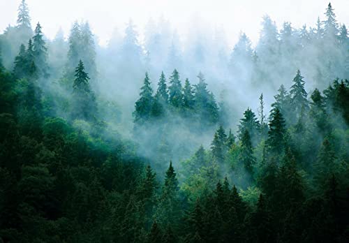 Fototapete Wohnzimmer Wald Nebel Landschaft Bäume Natur Schlafzimmer Wandtapete Vlies Tapete Latexdruck UV-Beständig Montagefertig (13757, V8 (368x254 cm) 4 Bahnen) von WallArena