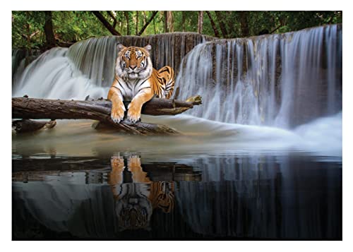 Fototapete Wasserfall 3D Effekt Landschaft Tiger Natur Wald Wasser - inkl. Kleister - für Wohnzimmer Schlafzimmer Flur Vlies Tapete Vliestapete Wandtapete Motivtapeten Montagefertig (312x219 cm) von WallArena