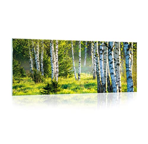 Glasbild Wald Natur Landschaft Birkenwald 125x50 cm Modern Glasbilder Wohnzimmer Schlafzimmer Badezimmer Bilder auf Glas Bild groß XXL einteilig Querformat Wandbild Wandbilder Aufhängfertig Glasbild Wald Natur Landschaft Birkenwald 125x50 cm Modern Glasbilder Wohnzimmer Schlafzimmer Badezimmer Bilder auf Glas Bild groß XXL einteilig Querformat Wandbild Wandbilder Aufhängfertig von WallArena