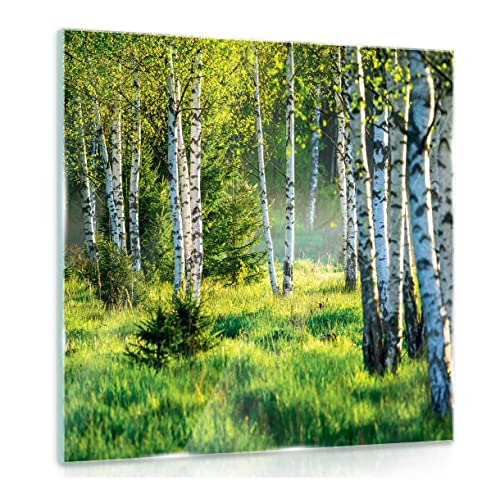 Glasbild Wald Natur Landschaft Birkenwald 30x30 cm Modern Glasbilder Wohnzimmer Schlafzimmer Badezimmer Bilder auf Glas Bild groß XXL einteilig Quadratisch Wandbild Wandbilder Aufhängfertig von WallArena