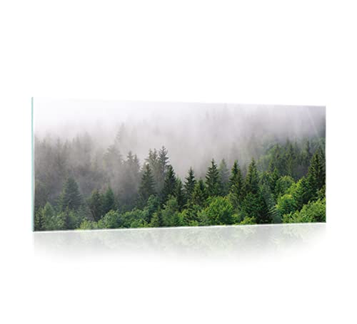 Glasbild Wald im Nebel Natur grün Landschaft 125x50 cm Modern Glasbilder Wohnzimmer Schlafzimmer Badezimmer Bilder auf Glas Bild groß XXL einteilig Querformat Wandbild Wandbilder Aufhängfertig von WallArena