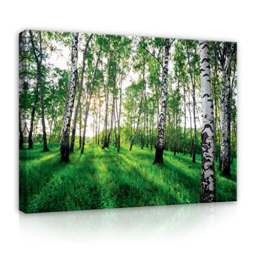 Leinwandbild Wald Grün Natur Groß Birkenwald 120x80 cm Modern Canvas Bilder XXL Schlafzimmer Wohnzimmer Wandbild Kunstdruck Wandbilder Wand Bild auf Leinwand Aufhängefertig von WallArena