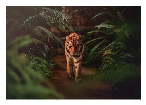 Vlies Fototapete 3D Effekt Tiger Wald Natur Dschungel Tiere - inkl. Kleister Wohnzimmer Schlafzimmer Modern Wandtapete Tapete Vliestapete UV-Beständig Montagefertig (152x104 cm - 1 Bahn) von WallArena