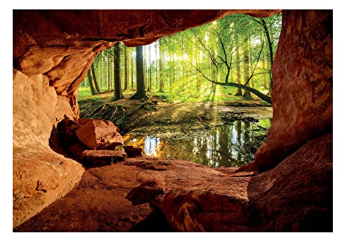 Vlies Fototapete 3D Effekt Wald Bach Sonne Höhle Natur inkl. Kleister Wohnzimmer Schlafzimmer Modern Motivtapeten Wandtapete Tapete Vliestapete UV-Beständig Montagefertig (104x70 cm - 1 Bahn) von WallArena