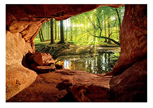 WallArena - Vlies Fototapete Wald Bach Sonne Höhle Natur Landschaft 368x254 cm - Fototapeten - Tapeten - für Wohnzimmer Schlafzimmer - Vliestapete Wandtapete Tapete 3D Effekt- inkl. Kleister von WallArena