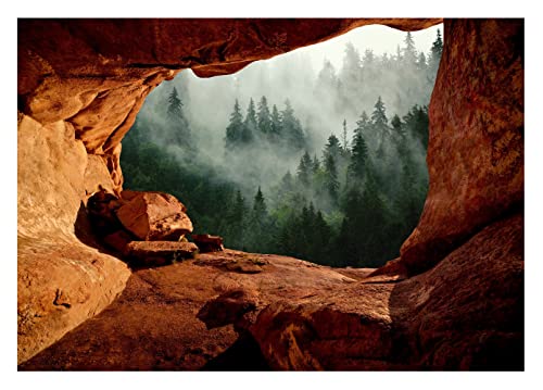 Vlies Fototapete 3D Effekt Wald Nebel Höhle Natur inkl. Kleister Wohnzimmer Schlafzimmer Modern Motivtapeten Wandtapete Tapete Vliestapete UV-Beständig Montagefertig (208x146 cm - 2 Bahnen) von WallArena