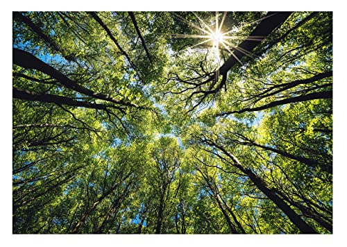 Vlies Fototapete Baumkronen Bäume Wald Sonne Himmel Natur 3D EFFEKT inklusive Kleister Wohnzimmer Schlafzimmer Wandtapete Tapete UV-Beständig Montagefertig (208 x 146 cm - 2 Bahnen) von WallArena