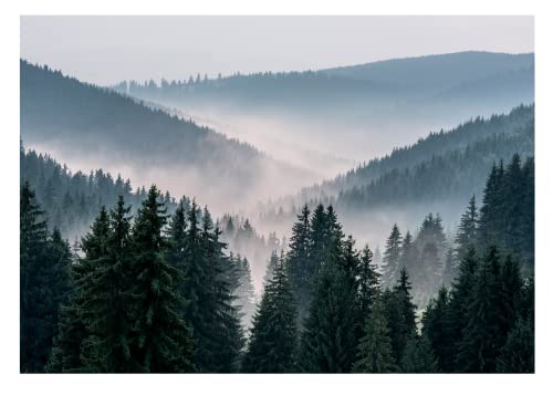 Vlies Fototapete Berge 3D EFFEKT Wald im Nebel Landschaft Natur Bäume - inkl. Kleister - für Wohnzimmer Schlafzimmer Vliestapete Wandtapete Vlies Tapete Motivtapeten Montagefertig (254x184 cm) von WallArena