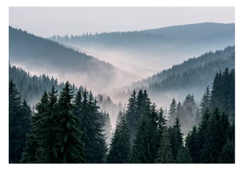 Vlies Fototapete Berge 3D EFFEKT Wald im Nebel Landschaft Natur Bäume - inkl. Kleister - für Wohnzimmer Schlafzimmer Vliestapete Wandtapete Vlies Tapete Motivtapeten Montagefertig (368x254 cm) von WallArena