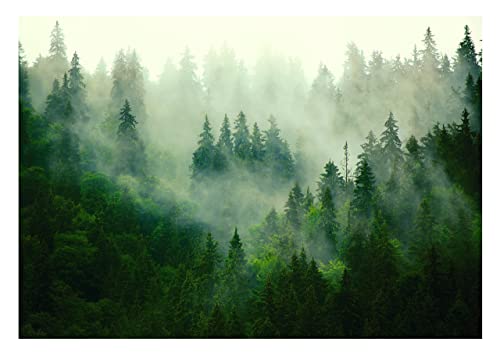 Vlies Fototapete Wald im Nebel Bäume Panorama Natur 3D EFFEKT inklusive Kleister Wohnzimmer Schlafzimmer Wandtapete Tapete UV-Beständig Montagefertig (312 x 219 cm - 3 Bahnen) von WallArena