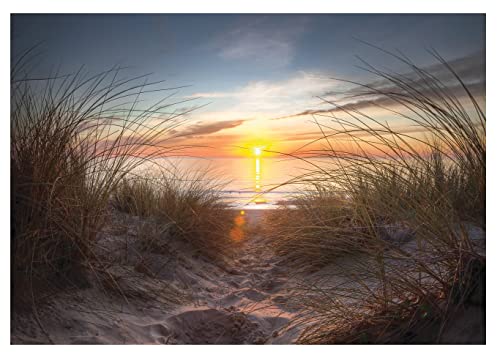 WallArena Fototapete Strand 3D Meer Ostsee Natur Sonnenuntergang Gras Modern Wohnzimmer Schlafzimmer Wandtapete Vlies Tapete UV-Beständig Geruchsfrei Montagefertig (14022, VEM (104x70,5 cm) 1 Bahn) von WallArena