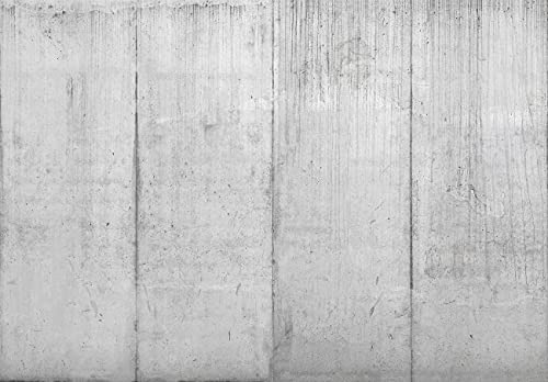 WallArena Fototapete Betonwand Beton Betonoptik Loft Wohnzimmer Schlafzimmer Wandtapete Vlies Tapete UV-Beständig Geruchsfrei Montagefertig (13991, VEXXXL (416x254 cm) 4 Bahnen) von WallArena