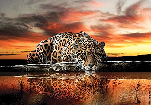 WallArena Fototapete Leopard 3D Jaguar Tiere Afrika Safari Orange Wohnzimmer Schlafzimmer Wandtapete Vlies Tapete UV-Beständig Geruchsfrei Montagefertig (14001, V8 (368x254 cm) 4 Bahnen) von WallArena