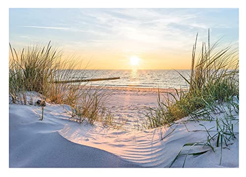 WallArena Fototapete Strand Meer Nordsee Dünen Sonne Panorama Natur Modern Wohnzimmer Schlafzimmer Wandtapete Vlies Tapete UV-Beständig Geruchsfrei Montagefertig (14020, VEL (152x104 cm) 1 Bahn) von WallArena