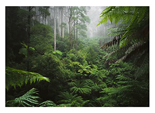 WallArena Fototapete Wald Regenwald Dschungel Natur Blätter 3D Effekt Wohnzimmer Schlafzimmer Wandtapete Vlies Tapete UV-Beständig Montagefertig (416x254 cm - 4 Bahnen) von WallArena