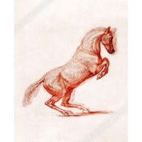 Tänzelndes Pferd Poster, Vintage Tänzelndes Kunst - Pony Druck Uk, Eu Usa Inlandsversand von WallArtPrints4uUSA