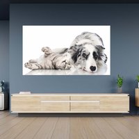 Wandtattoo Hund Und Katze Thema Poster Selbstklebend Kunst Aufkleber von WallArtsOnline