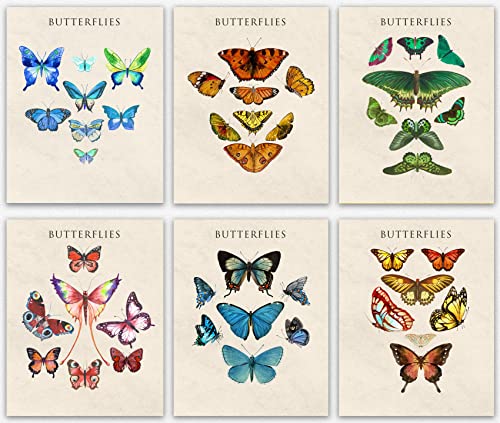 Butterfly Deko Wohnzimmer - Set of 6 Colorful Schmetterling Wanddeko & Butterfly deko schlafzimmer Posters for Room Aesthetic/Cute Room wand deko Gifts for Women Vintage Decor Bilder (20cm x 25cm) von WallBUddy